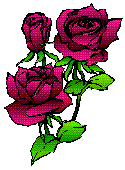Flower 1